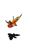异型蜂-魔法.gif