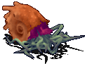 乌贼怪-魔法.gif