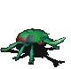 密林甲虫.gif