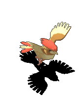 比比鸟-倒下.gif