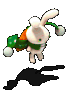 森林兔.gif