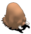 长毛猪-受伤.gif