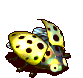 黄星瓢虫-魔法.gif