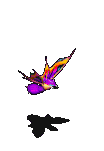 芜菁蜂-魔法.gif