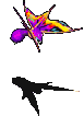 芜菁蜂-移动中.gif
