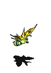 觉醒的杀人蜂-魔法.gif