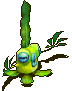 绿水草吸血苔.gif
