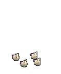 白色恋人-攻击.gif