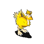 克克洛斯.gif