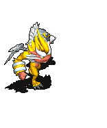 改造奇朋洛依-攻击.gif