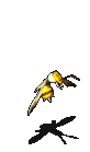 虎头蜂-魔法.gif