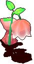 铃兰花妖-站立.gif