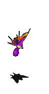 芜菁蜂-攻击.gif