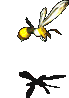 觉醒的虎头蜂-移动中.gif