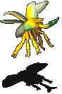 独角仙-魔法.gif