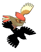比比鸟-移动中.gif