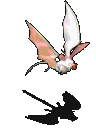 兔耳蝙蝠-移动中.gif