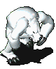 异变北极熊-受伤.gif