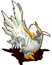 乌骨鸡.gif