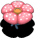 霸王花.gif