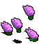 组.gif