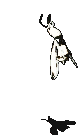 觉醒的寄生蜂-魔法.gif