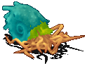 觉醒的亭登乌贼-魔法.gif
