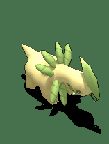 月桂叶-防御.gif