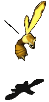 壮硕黄蜂.gif