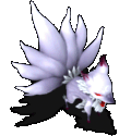 文件:进化九尾银狐-魔法.gif