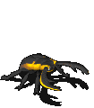 改造乌金鬼锹-攻击.gif