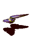海伦娜闪蝶-魔法.gif