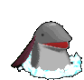 西留耶尔.gif