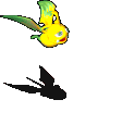 异变水果蝙蝠-攻击.gif
