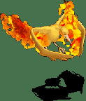 火焰鸟-防御.gif