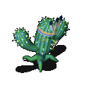 印地安仙人掌-倒下.gif