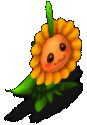耀阳花.gif