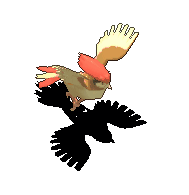 比比鸟-魔法.gif
