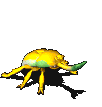 独角仙-攻击.gif