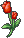 真红的花朵.gif