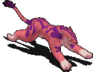 大犬座-移动中.gif