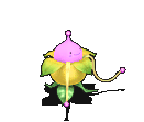 舞蹈花妖-移动中.gif