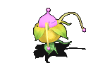 文件:改造舞蹈花妖-受伤.gif