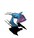 超音蝠-移动中.gif