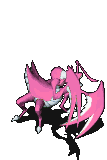异化兰花螳螂-受伤.gif