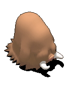 长毛猪-攻击.gif