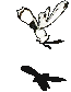 觉醒的寄生蜂-倒下.gif