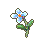 蝴蝶花.png