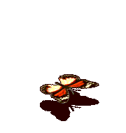 改造红肩粉蝶-攻击.gif