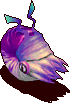 紫须菊石.gif